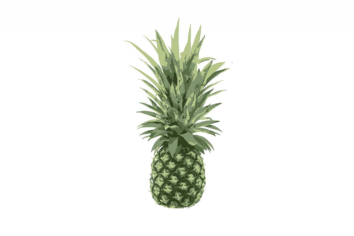 Pineapple Vector - EPS SVG JPEG example image 1
