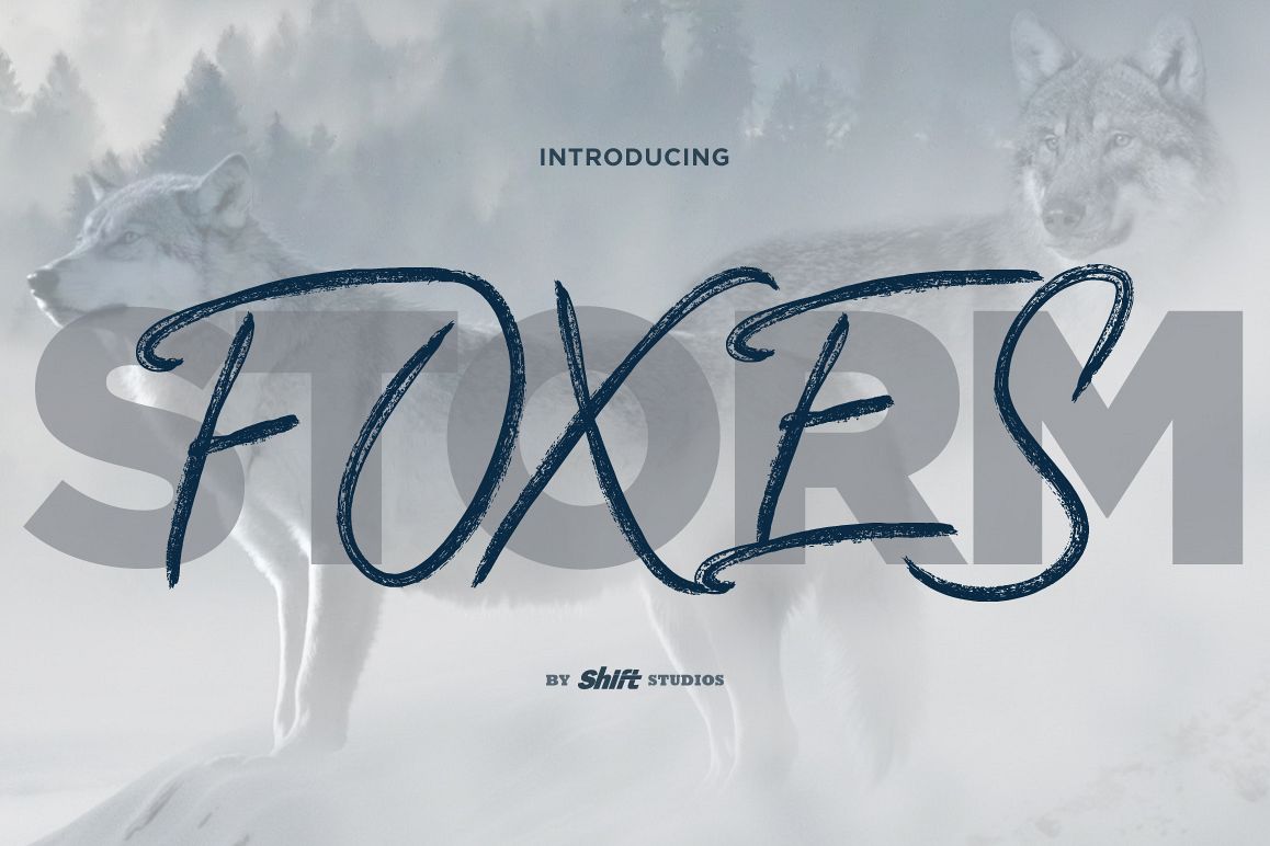 Foxes Typeface example image 1