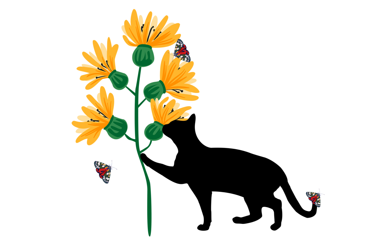 Cat with Sunflowers and Butterflies Nature PNG Transparent example image 1