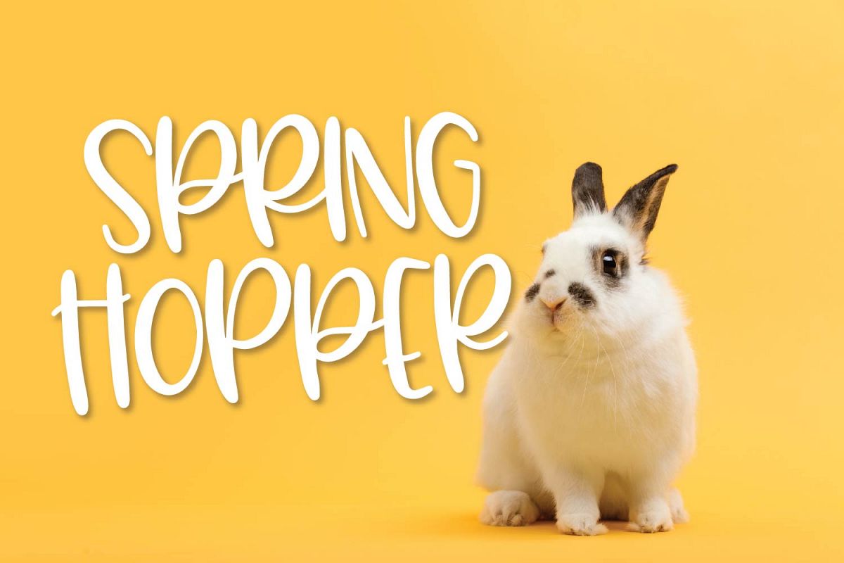 Spring Hopper - A Fun Hand Lettered Font! example image 1