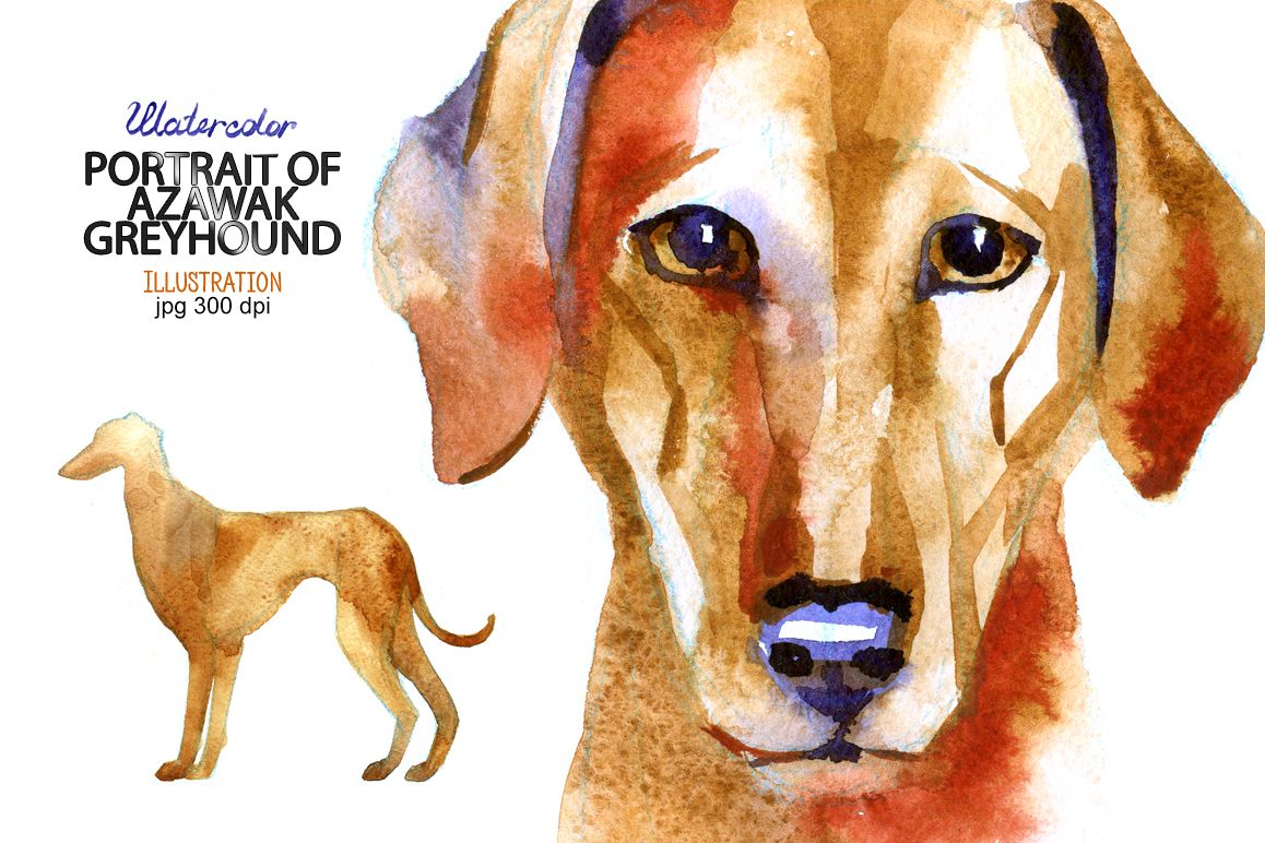Watercolor Azawak Greyhound. example image 1