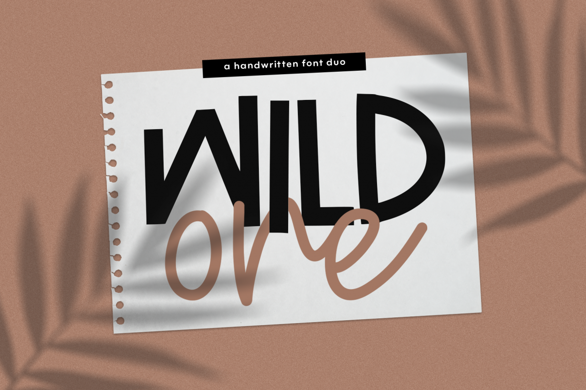 Wild One- Handwritten Script & Print Font Duo example image 1