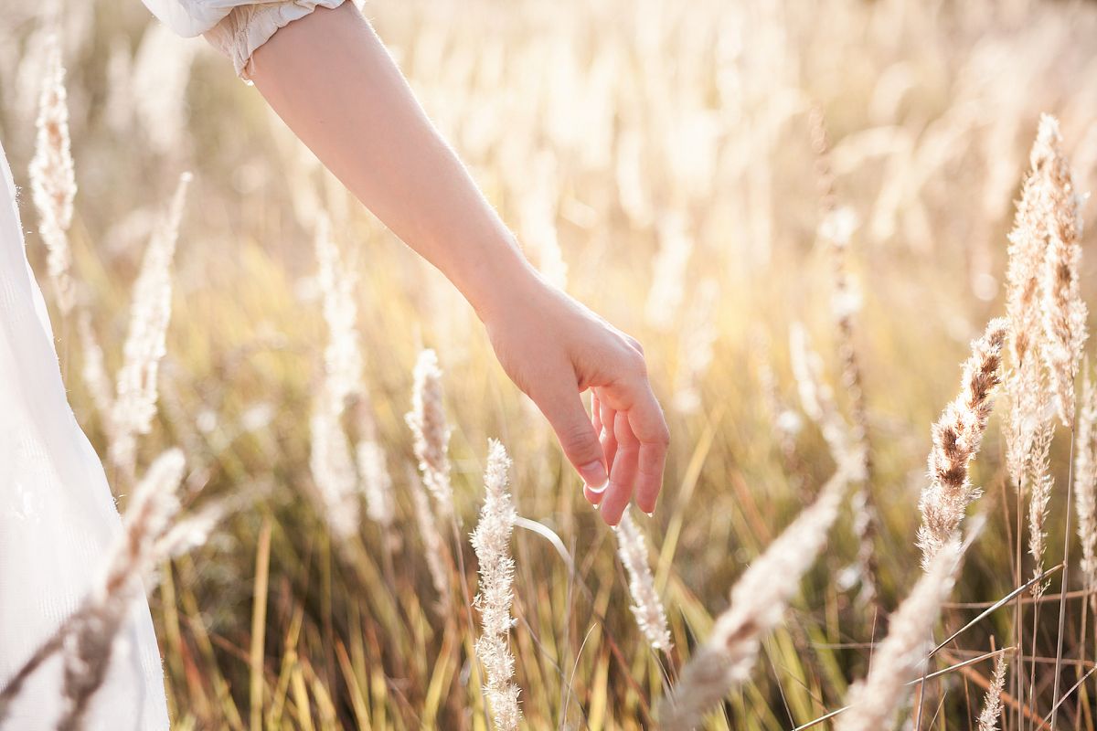 Fields of Gold example image 1