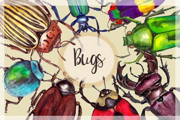 Watercolor Beetles Clipart & Print example image 1