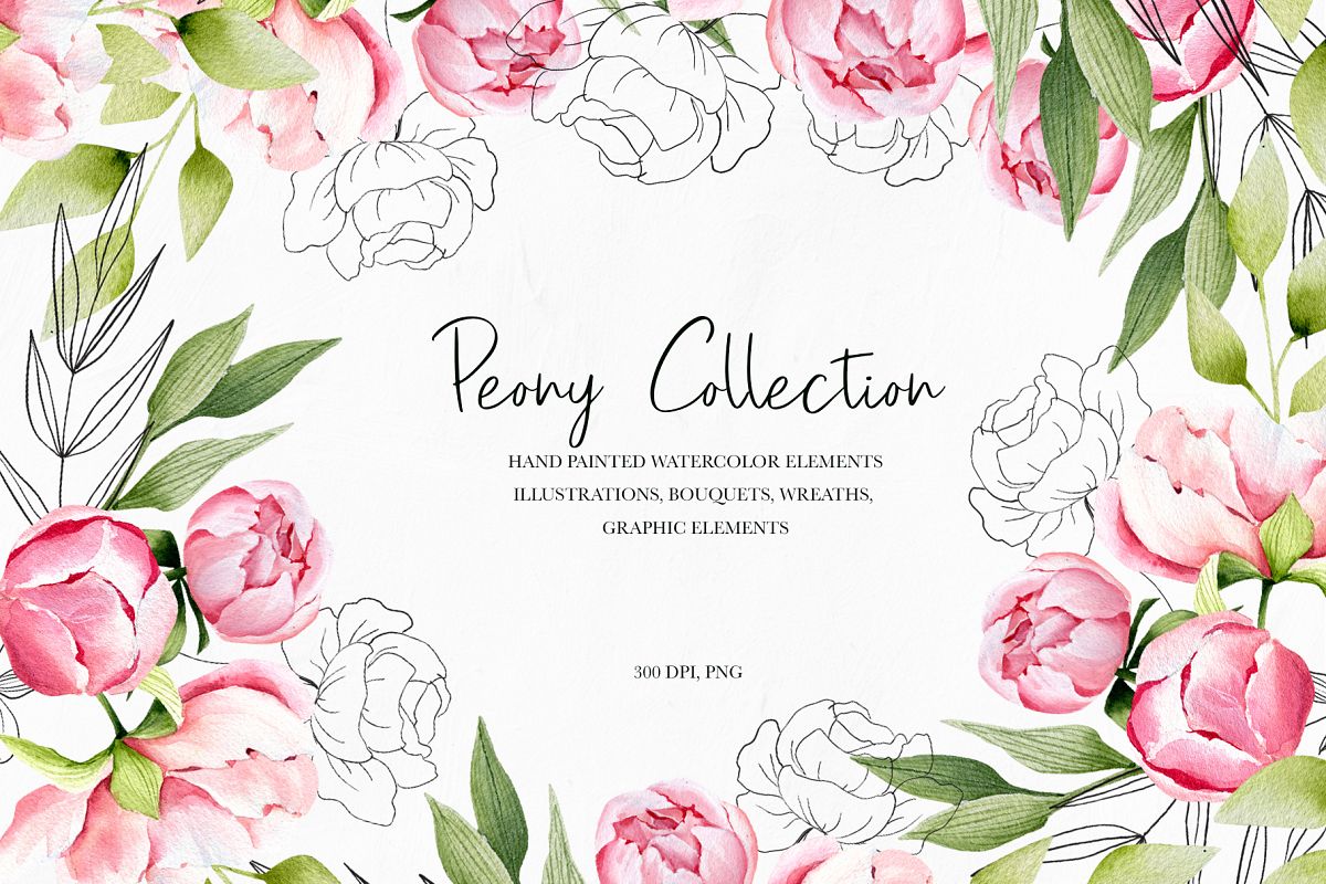 Watercolor summer pink peonies, wedding clipart, spring example image 1