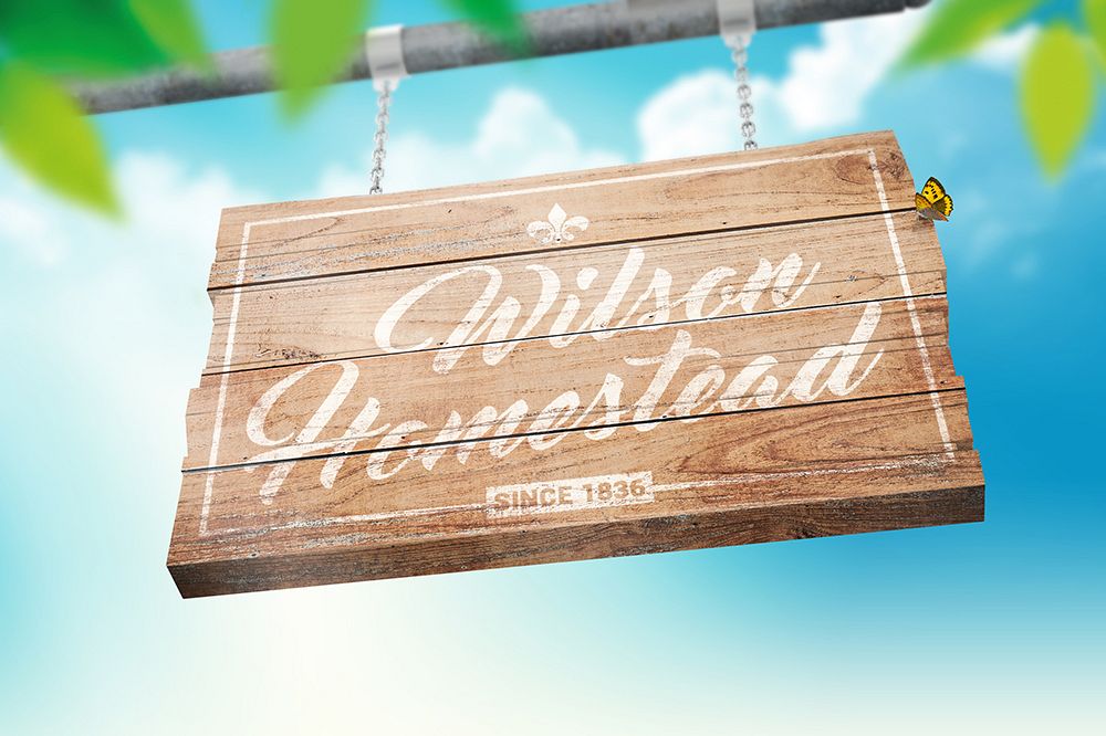 Hanging Wooden Sign Mockup example image 1
