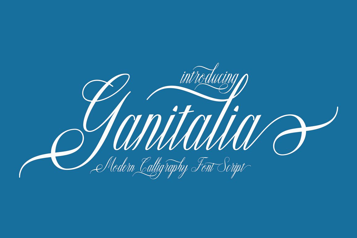 Ganitalia example image 1