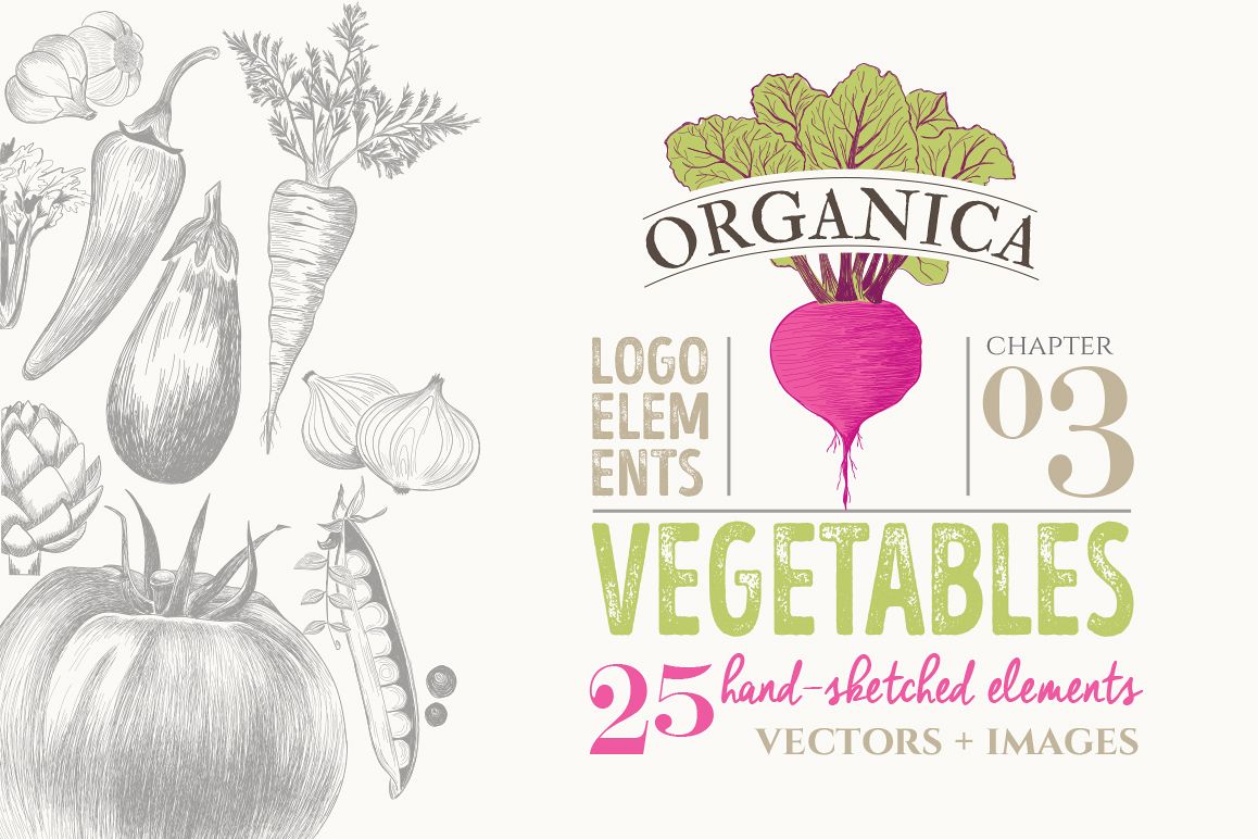 ORGANIC LOGO ELEMENTS VEGETABLES example image 1