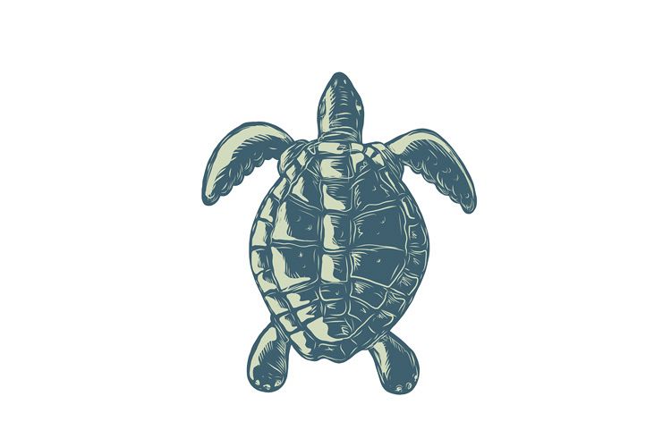 Sea Turtle Top View Scratchboard example image 1