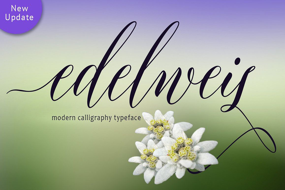 Edelweis Script example image 1
