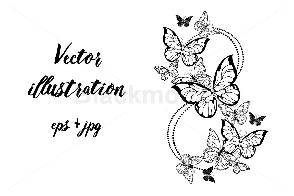 Eight of Contour Butterflies example image 1