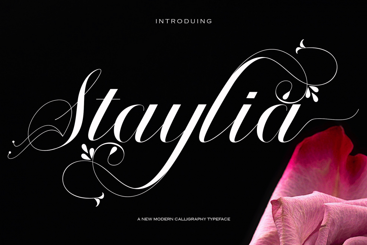 Staylia example image 1