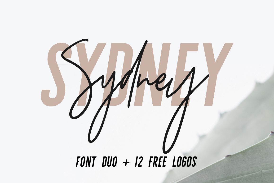 Sydney | Font Duo + 12 Free Logos example image 1