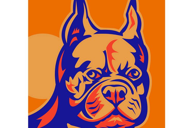 French Bulldog head portrait retro example image 1