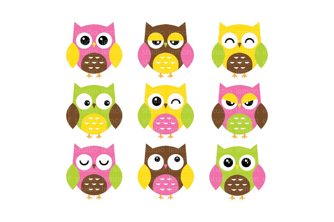 Expressive Owls-Digital Clipart (LES.CL02B) example image 1