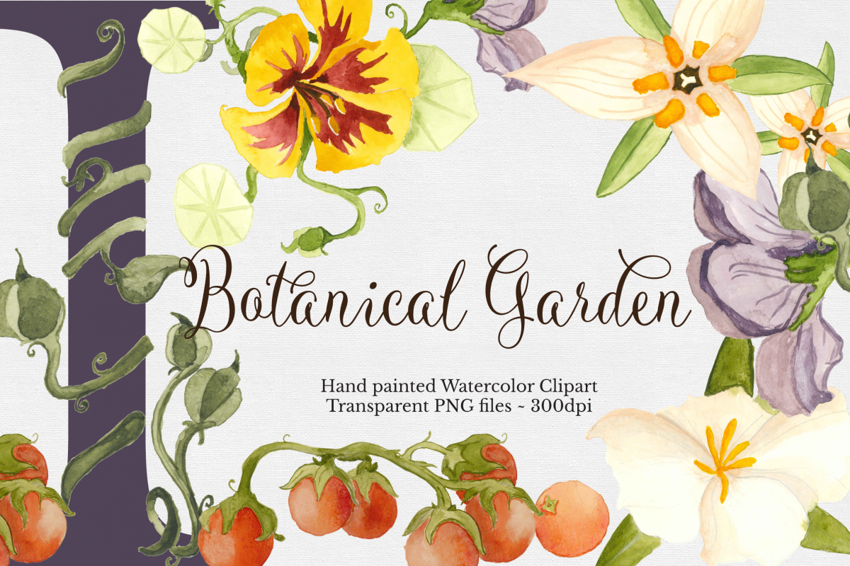 Botanical Watercolor Set example image 1