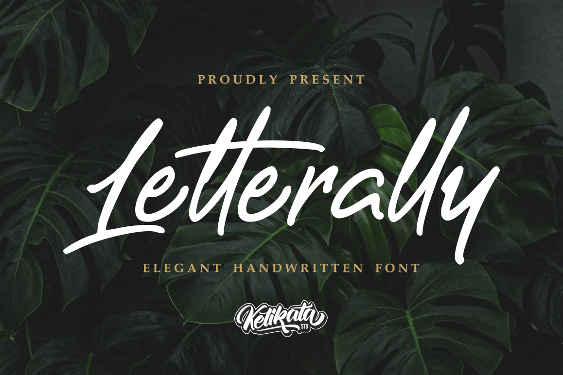 Letterally Handwritten Elegant Font example image 1