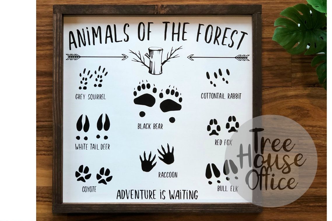 Animals of the Forest Woodland Nursery SVG DXF PNG JPEG (366902) | SVGs