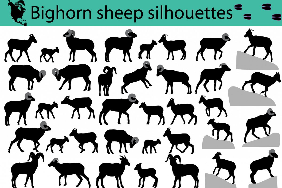 Bighorn sheep silhouettes example image 1