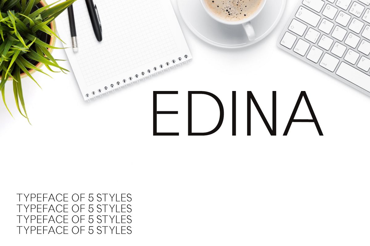 Edina Sans Serif Minimal Typeface example image 1