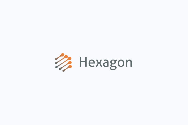 Hexagon logo example image 1