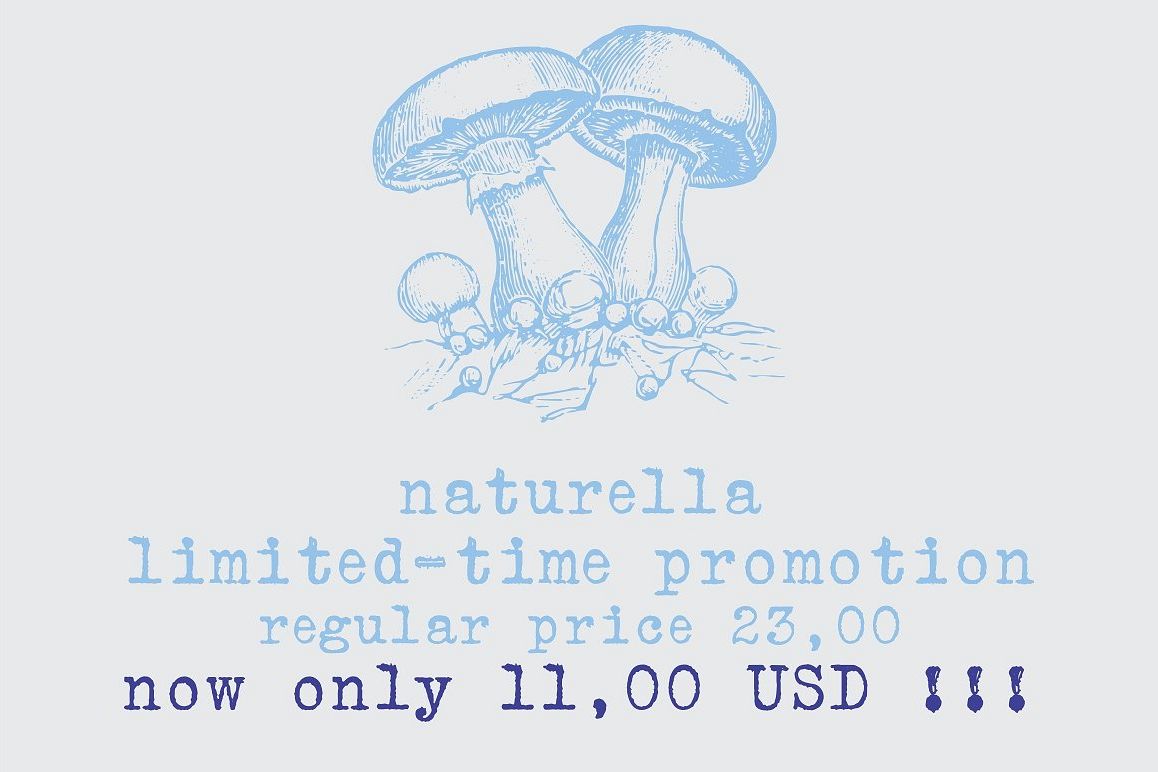 Naturella, organic dingbats example image 1