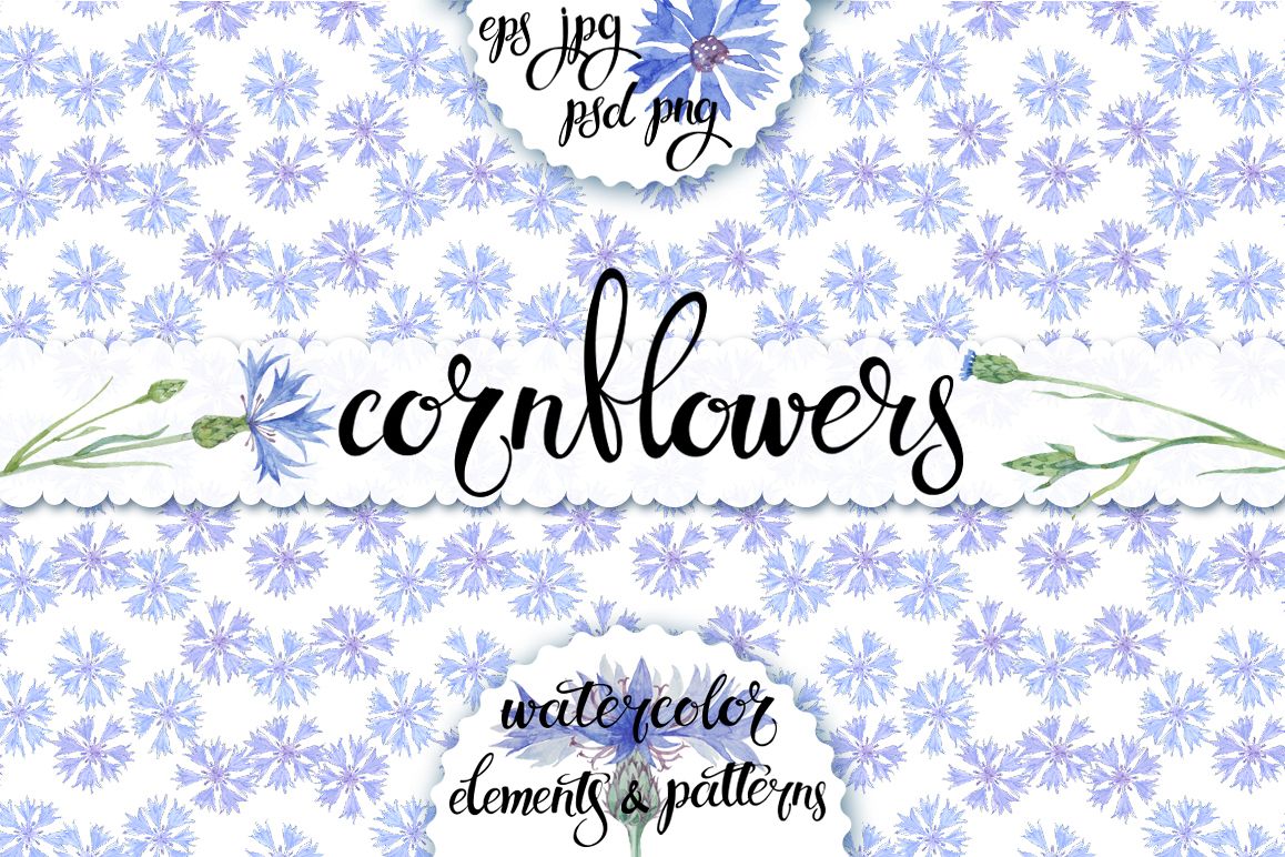 Cornflowers. Watercolor set. example image 1