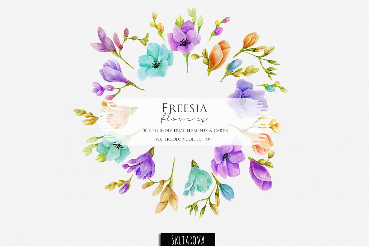 Freesia. Elements & cards example image 1