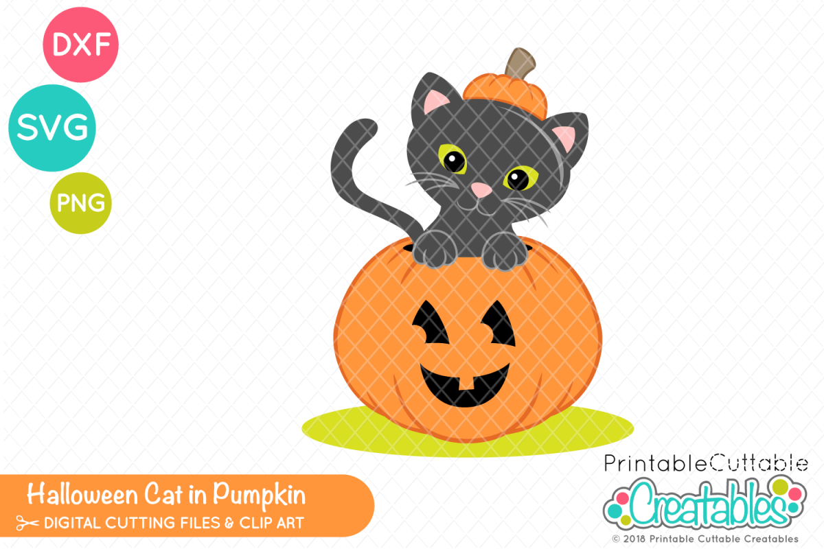 Halloween Cat in Pumpkin SVG (136807) | Scrapbooking | Design Bundles