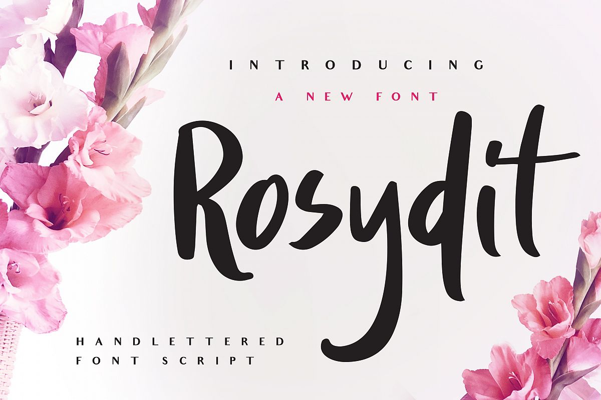 Rosydit - Handlettered Script Font example image 1