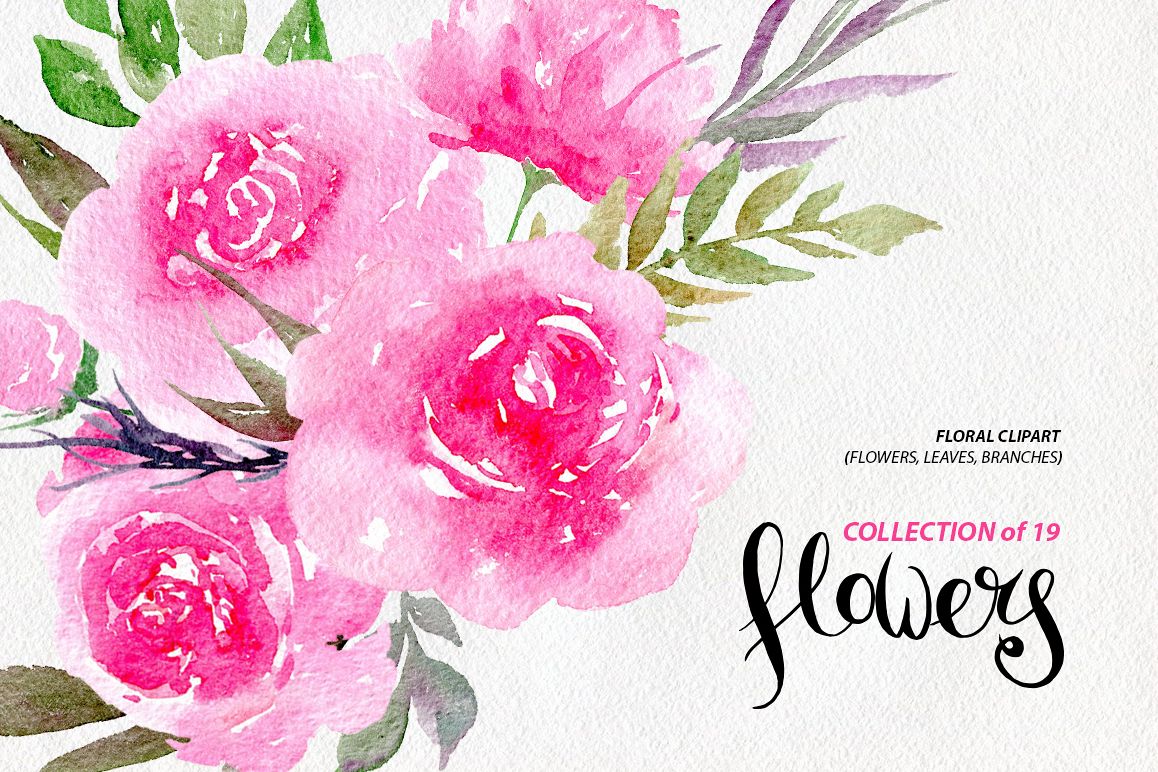 Watercolor pink peonies, 19 png example image 1