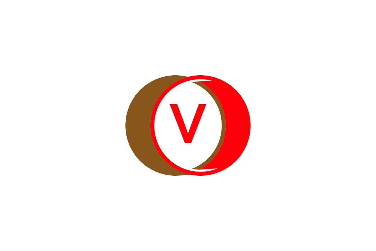v letter circle logo example image 1