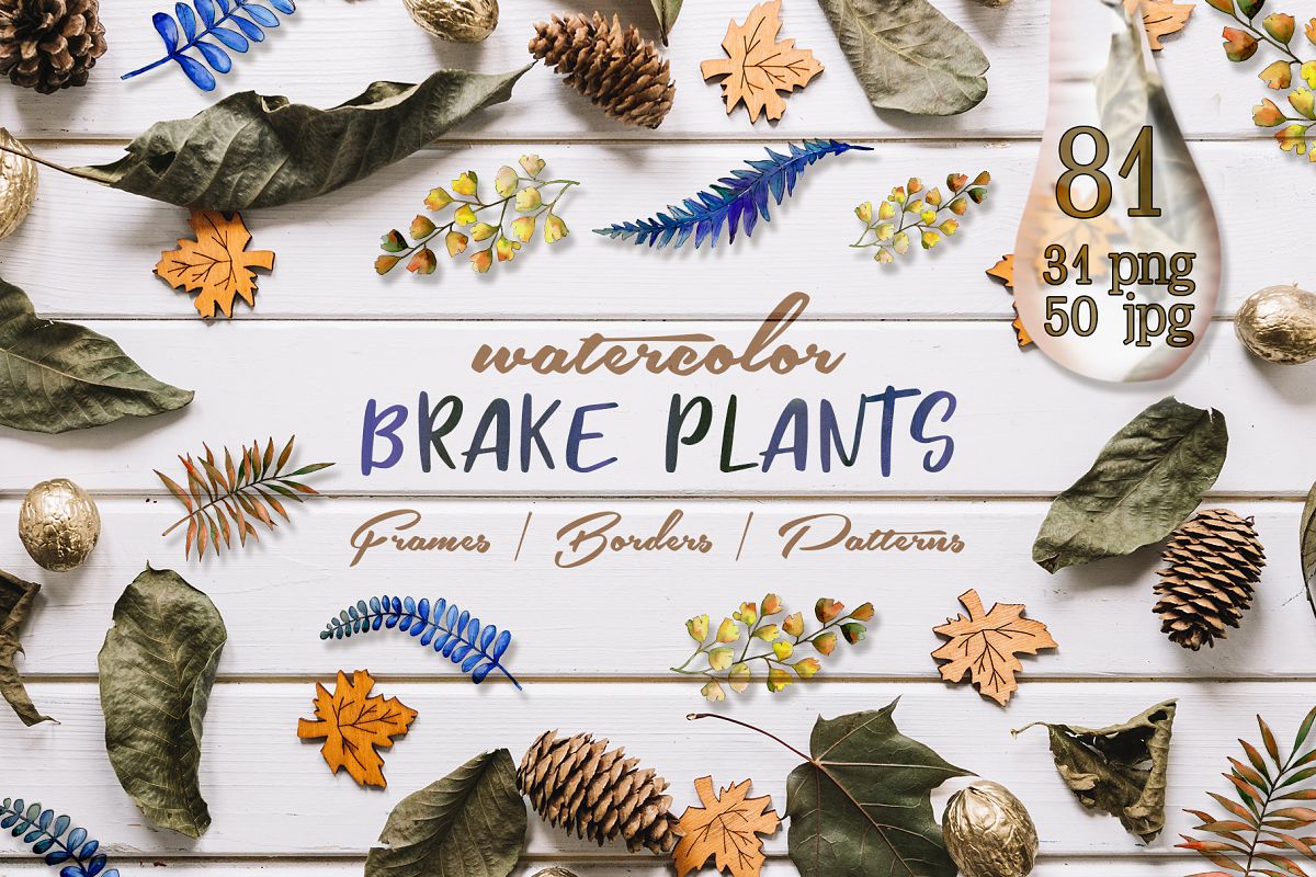 Brake plants PNG watercolor set example image 1