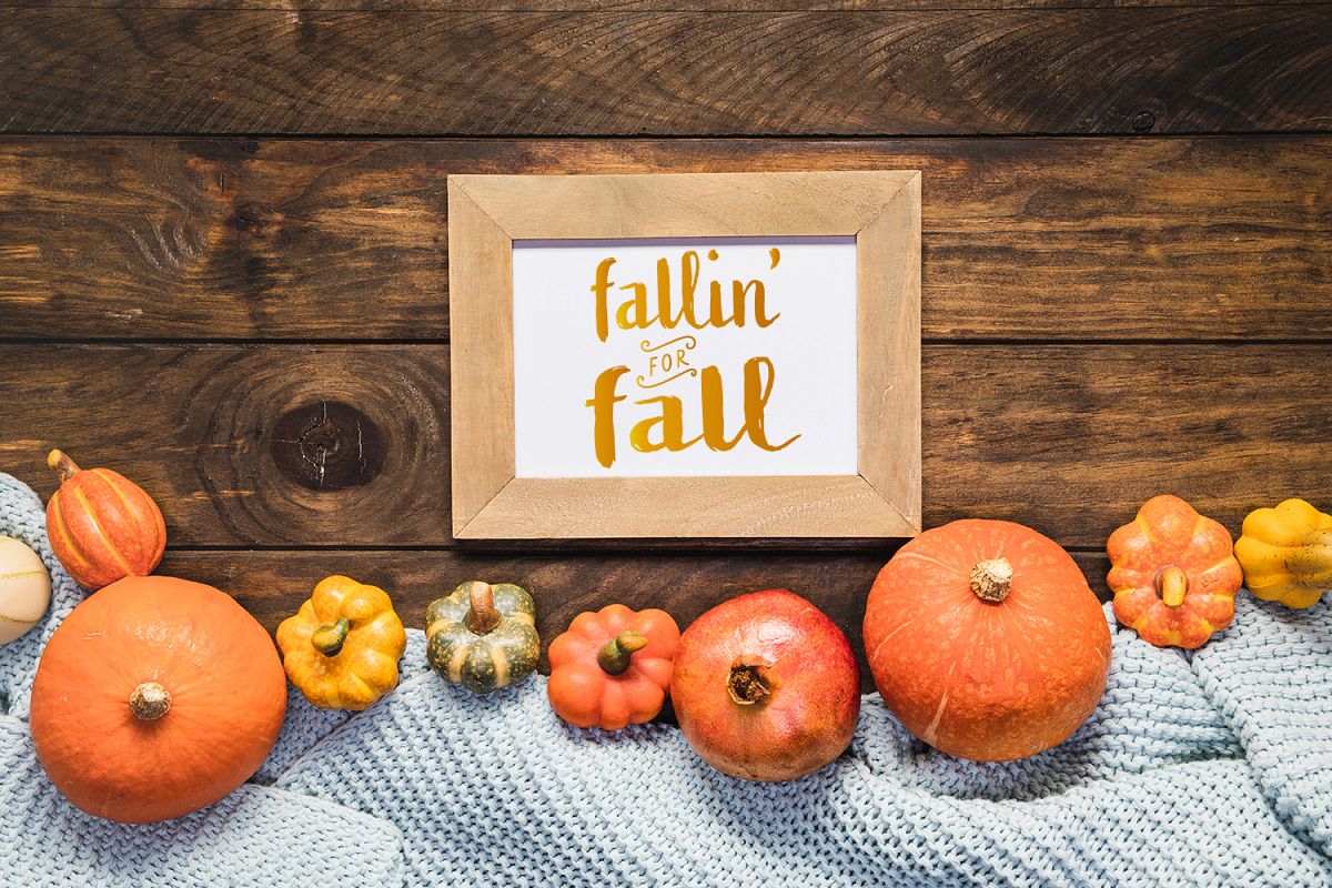 Fallin' for Fall example image 1