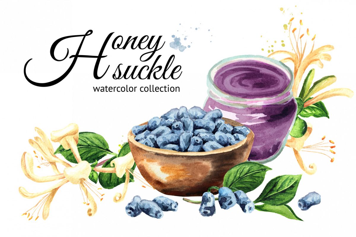 Honeysuckle. Watercolor set example image 1