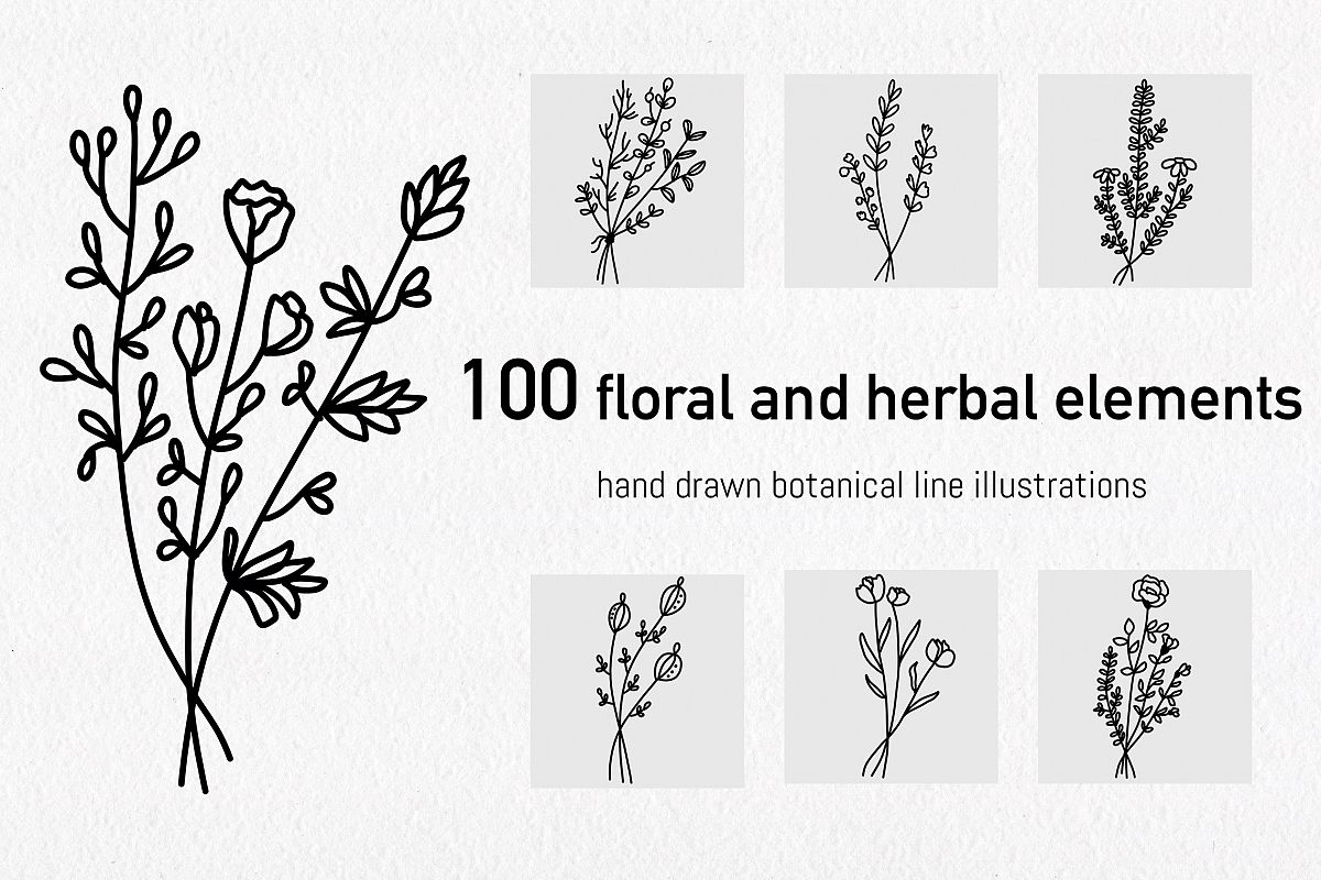 Floral and herbal elements. Hand drawn botanical art. example image 1