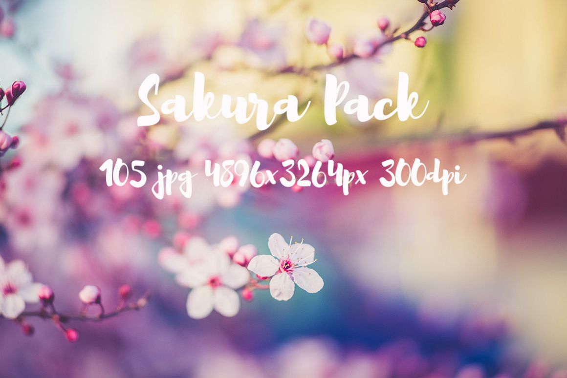 sakura photo pack example image 1