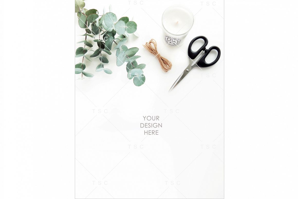 Portrait-mode Eucalyptus Leaves and Candle Stock Photo example image 1
