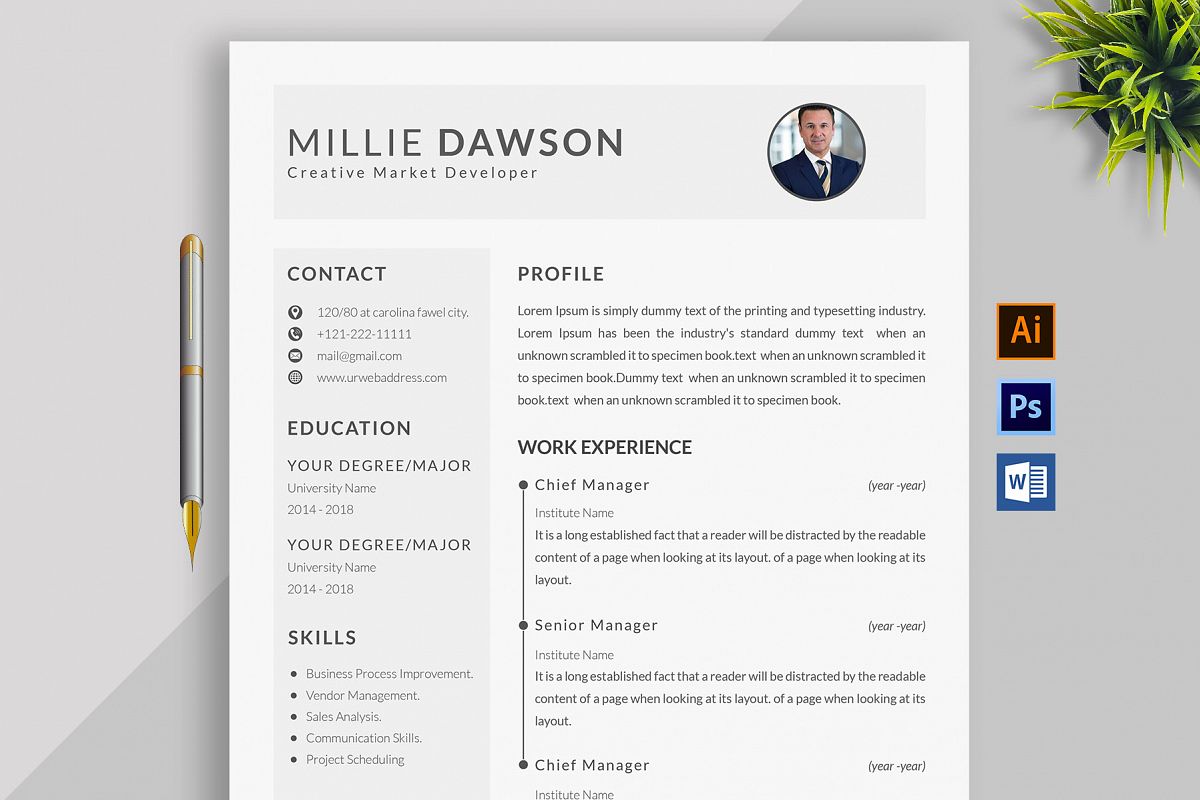 Professional Cv Resume Bonus business card Word/PSD,AI example image 1