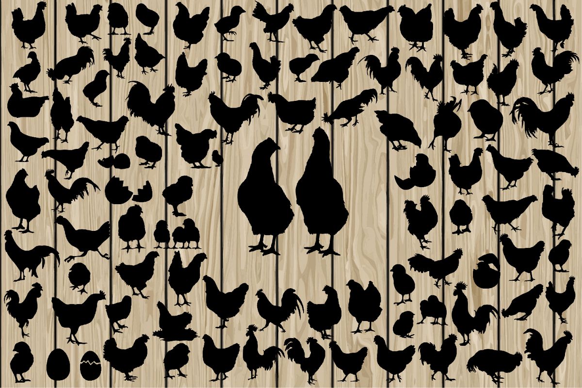 94 Easter Chicken SVG, Chicken EPS, Chicken Vector, Chicken Silhouette Clipart, Chicken Cutting File, Hen SVG, Rooster Svg, Fowl Svg. example image 1