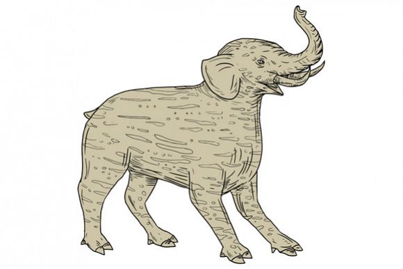 Baku Side Drawing example image 1