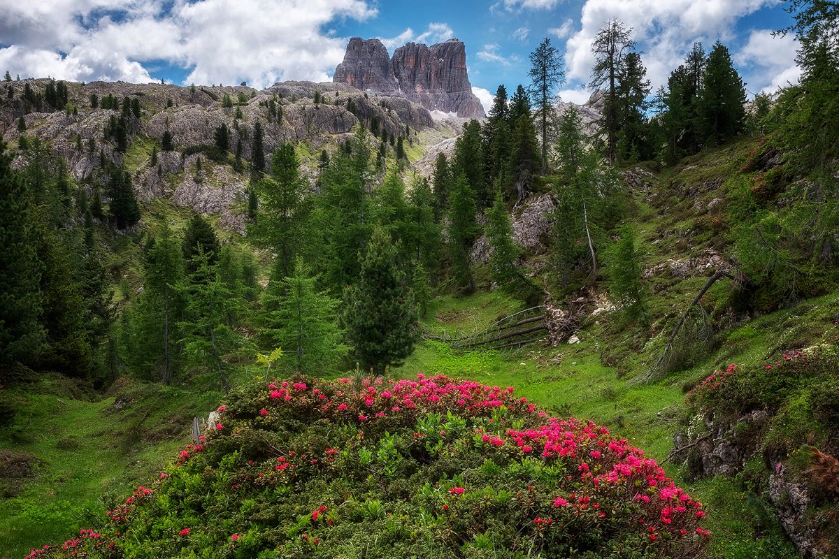Dolomites Falzarego example image 1