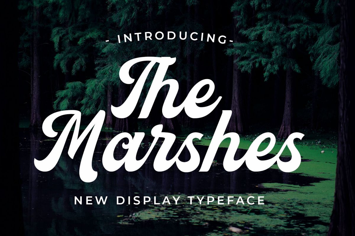 The Marshes example image 1