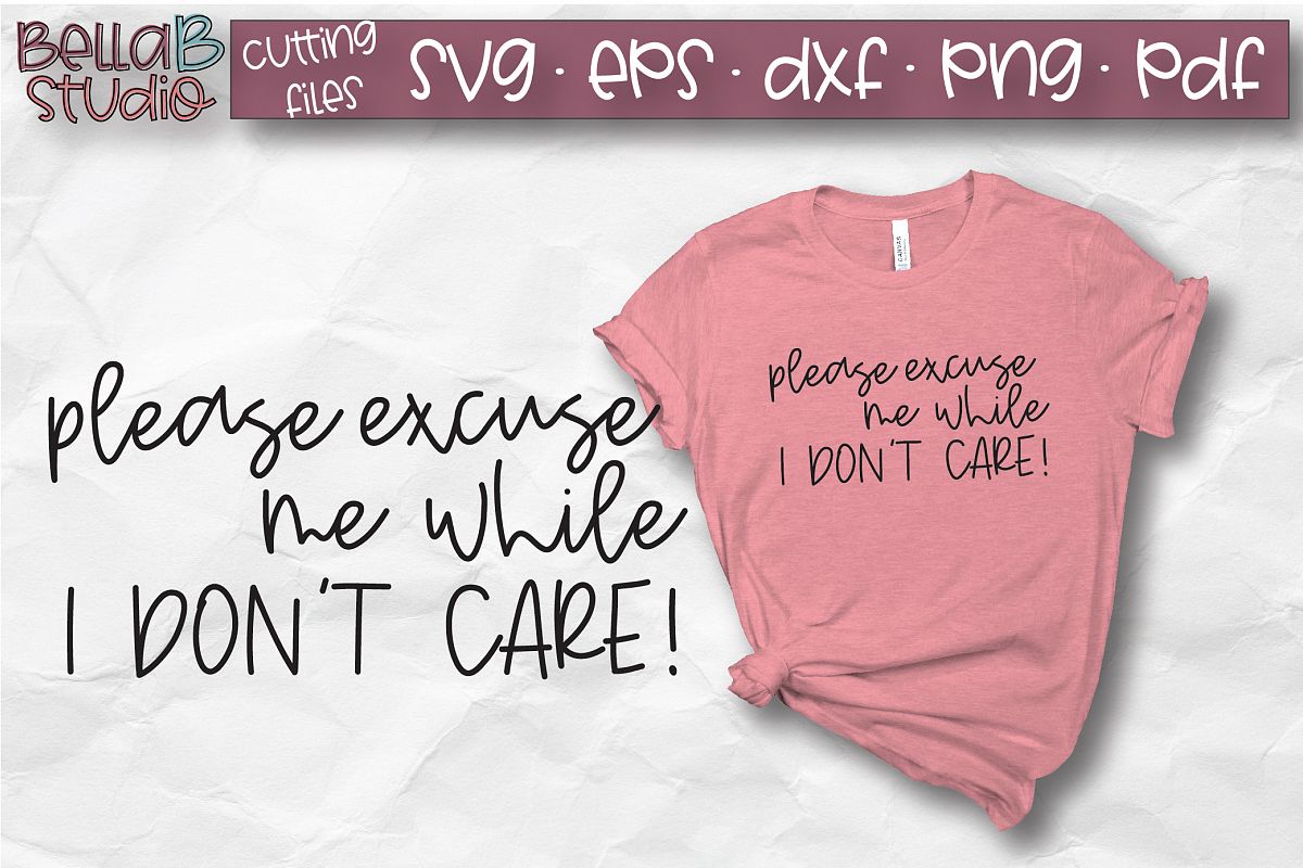 Please Excuse Me While I Don't Care SVG, Sarcasm SVG, Funny example image 1