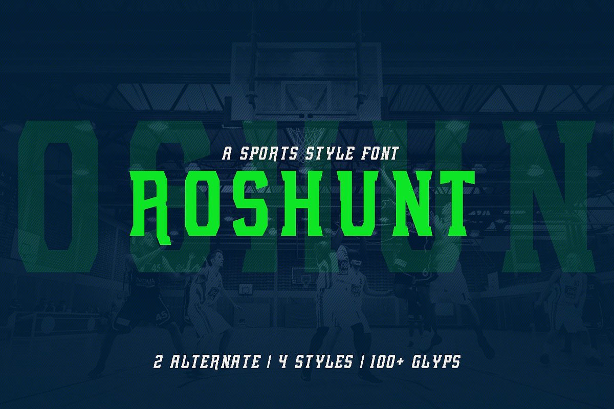 Roshunt - NFC Font Family example image 1