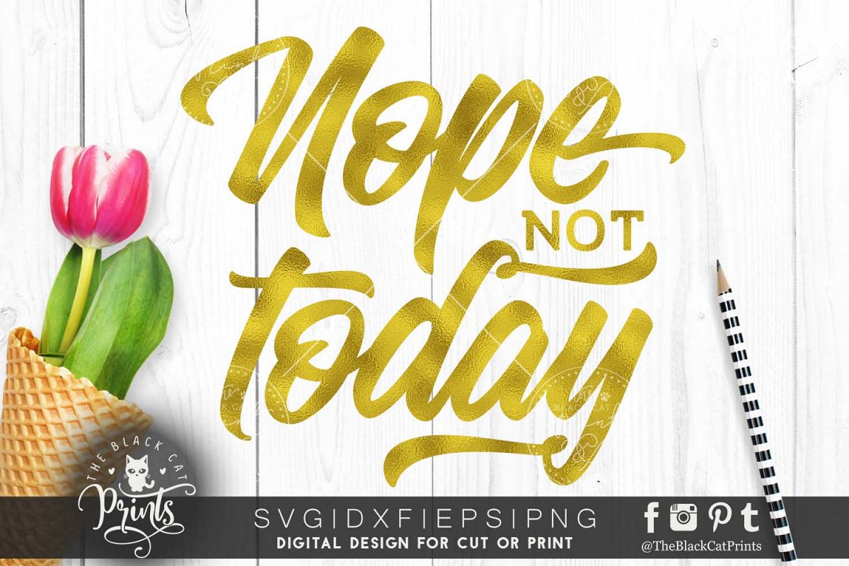 Nope Not Today SVG DXF PNG EPS example image 1