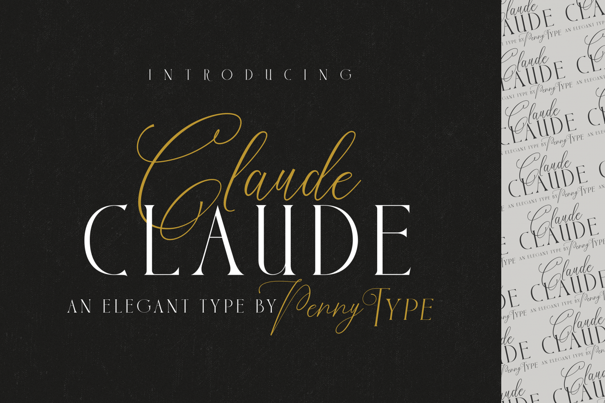 Claude Font Duo example image 1