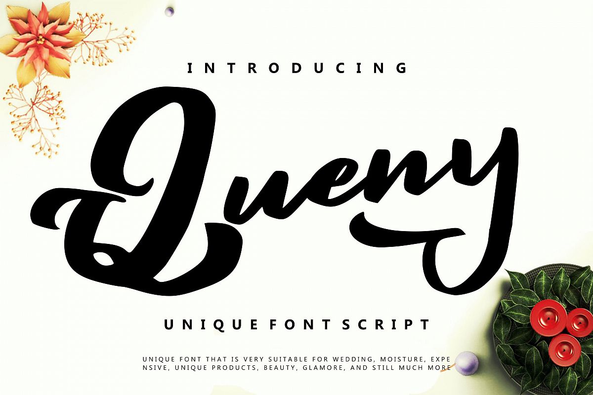 Queny | Unique Font Script example image 1