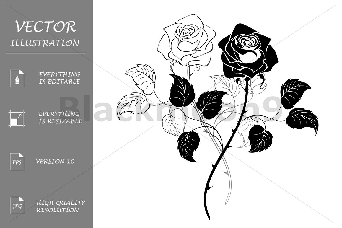 Two roses example image 1