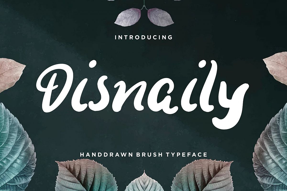 Disnaily Handdrawn Brush example image 1